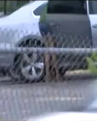 Car upskirt shot on sexy Latina